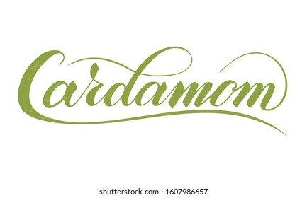 Vector hand written cardamom text isolated on white background. Kitchen healthy herbs and spices for cooking. Script brushpen lettering with flourishes. Handwriting for banner, poster, product label