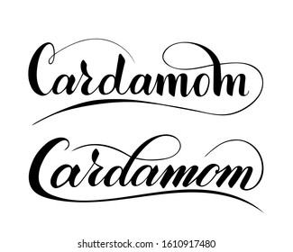 Vector hand written cardamom text isolated on white background. Kitchen healthy herbs and spices for cooking. Script brushpen lettering with flourishes. Handwriting for banner, poster, product label