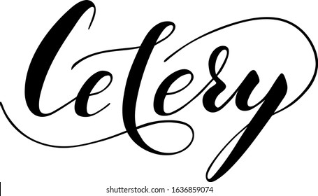 Vector hand written celery text isolated on white background. Kitchen healthy herbs and spices for cooking. Script brushpen lettering with flourishes. Handwriting for banner, poster, product label
