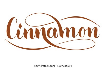 Vector hand written cinnamon text isolated on white background. Kitchen healthy herbs and spices for cooking. Script brushpen lettering with flourishes. Handwriting for banner, poster, product label