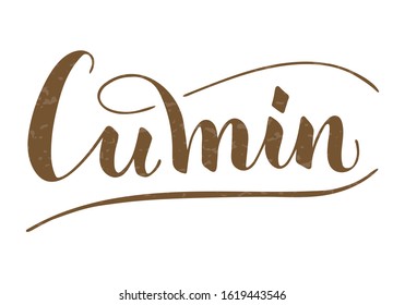Vector hand written cumin text isolated on white background. Kitchen healthy herbs and spices for cooking. Script brushpen lettering with flourishes. Handwriting for banner, poster, product label