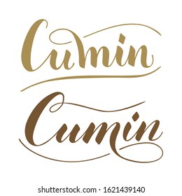 Vector hand written cumin text isolated on white background. Kitchen healthy herbs and spices for cooking. Script brushpen lettering with flourishes. Handwriting for banner, poster, product label