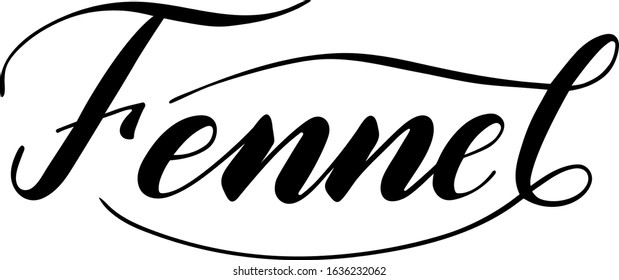 Vector hand written fennel text isolated on white background. Kitchen healthy herbs and spices for cooking. Script brushpen lettering with flourishes. Handwriting for banner, poster, product label