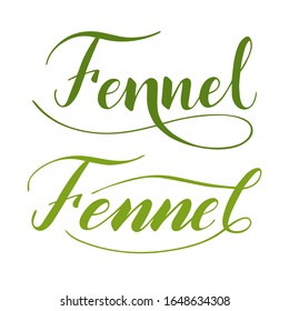 Vector hand written fennel text isolated on white background. Kitchen healthy herbs and spices for cooking. Script brushpen lettering with flourishes. Handwriting for banner, poster, product label