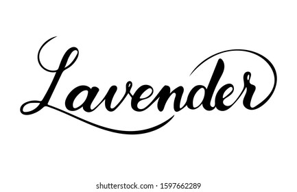 Vector hand written lavender text isolated on white background. Kitchen healthy herbs and spices for cooking. Script brushpen lettering with flourishes. Handwriting for banner, poster, product label