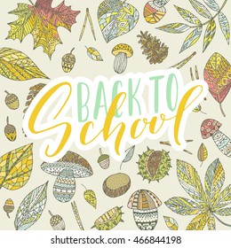 Vector hand written lettering quote. Modern calligraphy phrase. Back to school. Autumn elements, leaves, cones.