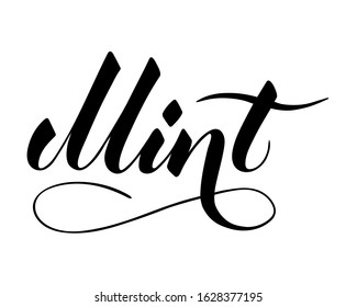 Vector hand written mint text isolated on white background. Kitchen healthy herbs and spices for cooking. Script brushpen lettering with flourishes. Handwriting for banner, poster, product label