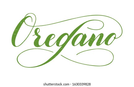 Vector hand written oregano text isolated on white background. Kitchen healthy herbs and spices for cooking. Script brushpen lettering with flourishes. Handwriting for banner, poster, product label