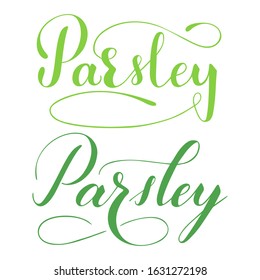 Vector hand written parsley text isolated on white background. Kitchen healthy herbs and spices for cooking. Script brushpen lettering with flourishes. Handwriting for banner, poster, product label