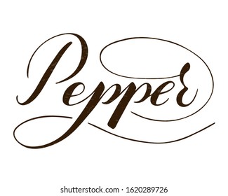Vector hand written pepper text isolated on white background. Kitchen healthy herbs and spices for cooking. Script brushpen lettering with flourishes. Handwriting for banner, poster, product label