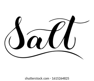 Vector hand written salt text isolated on white background. Kitchen healthy spices for cooking. Script brushpen lettering with flourishes. Handwriting for banner, poster, product label