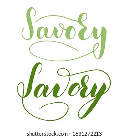 Vector hand written savory text isolated on white background. Kitchen healthy herbs and spices for cooking. Script brushpen lettering with flourishes. Handwriting for banner, poster, product label