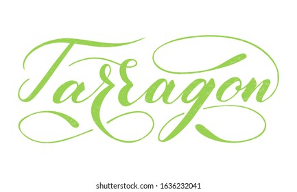 Vector hand written tarragon text isolated on white background. Kitchen healthy herbs and spices for cooking. Script brushpen lettering with flourishes. Handwriting for banner, poster, product label