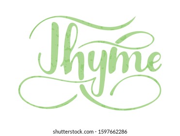 Vector hand written thyme text isolated on white background. Kitchen healthy herbs and spices for cooking. Script brushpen lettering with flourishes. Handwriting for banner, poster, product label