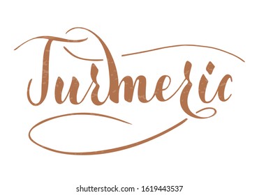 Vector hand written turmeric text isolated on white background. Kitchen healthy herbs and spices for cooking. Script brushpen lettering with flourishes. Handwriting for banner, poster, product label