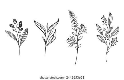Vector dibujado a mano con la colección de hierbas y flores