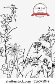 Vector Hand-draw template label/Background with hand-draw wild flowers and herbs. Layout, mockup design for cosmetics, store,beauty salon, spa, natural and organic products. With place for text