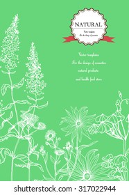 Vector Hand-draw template label/Background with hand-draw wild flowers and herbs. Layout, mockup design for cosmetics, store,beauty salon, spa, natural and organic products. With place for text
