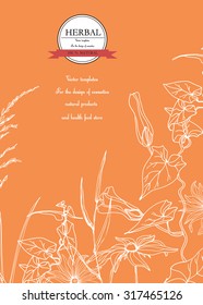 Vector Hand-draw template label/Background with hand-draw wild flowers and herbs. Layout, mockup design for cosmetics, store,beauty salon, spa, natural and organic products. With place for text