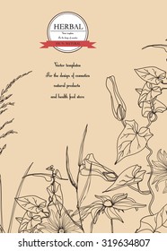 Vector Hand-draw template label/Background with hand-draw wild flowers and herbs. Layout, mockup design for cosmetics, store,beauty salon, spa, natural and organic products. With place for text