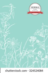 Vector Hand-draw template label/Background with hand-draw wild flowers and herbs. Layout, mockup design for cosmetics, store,beauty salon, spa, natural and organic products. With place for text