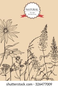 Vector Hand-draw template label/Background with hand-draw wild flowers and herbs. Layout, mockup design for cosmetics, store,beauty salon, spa, natural and organic products. With place for text