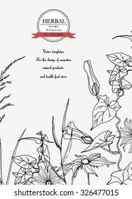 Vector Hand-draw template label/Background with hand-draw wild flowers and herbs. Layout, mockup design for cosmetics, store,beauty salon, spa, natural and organic products. With place for text
