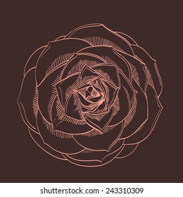Vector hand-drawing  flower