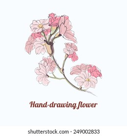 Vector hand-drawing flower