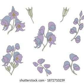 Vector hand-drawn Aconitum(Wolf's bane) Flower illustration motif graphic resource