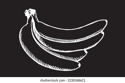 Vector hand-drawn bananas on black isolated, fruit graphical drawing.