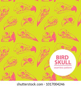 Vector handdrawn bird skull seamless pattern.