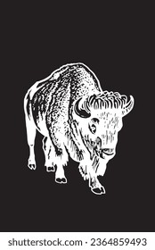 Vector hand-drawn bison  on black , graphical illustration