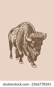 Vector hand-drawn bison  on sepia background, graphical  vintage illustration