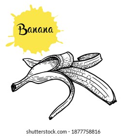 Vector hand-drawn black and white illustration of a banana isolated with bright yellow splashes. Suitable for natural food, tropical summer decor.