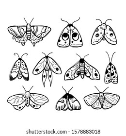 Vector hand-drawn black and white monochrome outline ink set with moths and butterflies on a white background. Flying insects. Moths. Butterflies Isolated objects on a white background.