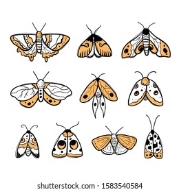Vector hand-drawn black and yellow color outline ink set with moths and butterflies on a white background. Flying insects. Moths. Butterflies Isolated objects on a white background.