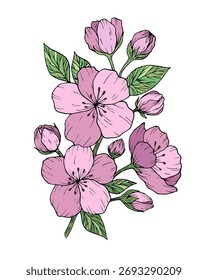 Vector de flores de sakura dibujadas a mano. Diseño para el arte de la pared, tarjetas de felicitación, carteles, pegatinas y textiles.