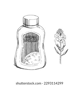 Vector hand-drawn botanical sketch of mustard and plastic bottle with sauce. 