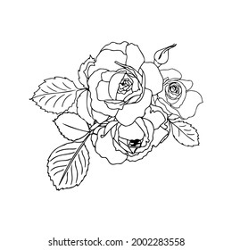 Vector hand-drawn bouquet of roses in a linear style. Black outline with no fill. Flower arrangement for wedding design, cards, envelopes, packaging.