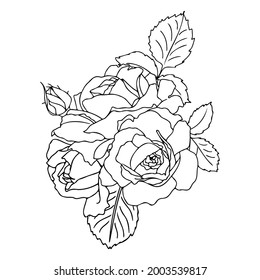 Vector hand-drawn bouquet of roses in a linear style. Black outline with no fill. Flower arrangement for wedding design, cards, envelopes, packaging.