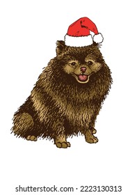 Vector hand-drawn brown puppy dog in Santa Claus red hat on white isolated,graphical pet