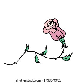 dibujos animados a mano vectorial hermosa rosa con hojas. un único doodle decorativo aislado en un fondo blanco