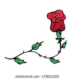 vector hand-drawn cartoon beautiful red rose with leaves. a single decorative Doodle element isolated on a white background