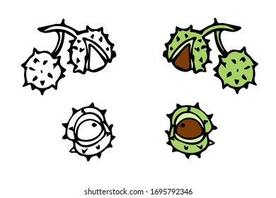 vector hand-drawn chestnuts. isolated on a white background. autumn element. graphic icon. coloring book with a color example.