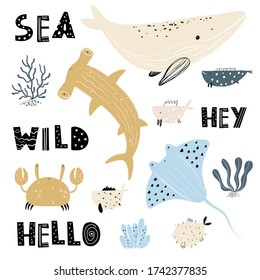 Vector hand-drawn color childish simple flat set with crab, whale, stingray, shark, fishes, seaweed and corral on a white background. Cute baby animals. Set for kids with water animals. Sea. Ocean.
