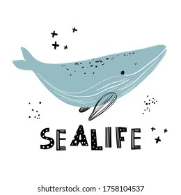 Vector hand-drawn color children's illustration, poster, print with a cute whale and lettering Sealife in Scandinavian style on a white background. Cute baby animals. Sealife. Whale
