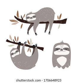 Vector hand-drawn color children`s set with cute sloths in Scandinavian style on a white background. Sleeping sloth on a branch. Cute baby animals.