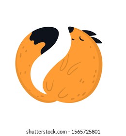 Vector hand-drawn color cute flat child illustration of a red fox in Scandinavian style on a white background. Sleeping cute fox. Cute baby animals.