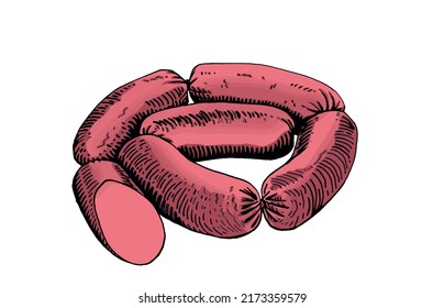 Vector hand-drawn color sausages  isolated on white, fast food . Graphical food illustration